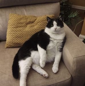 Meet your Posher, Susan